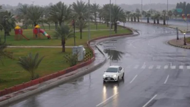 created image 1 1.webp e1770537680920