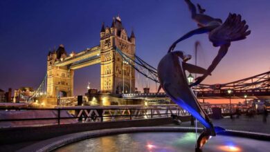 photo 5857263428496460762 y