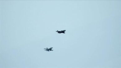 thumbs b c e803dfe0f76415bade6d8e6686389a02