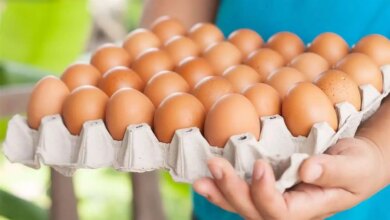 أسعار البيض اليوم 1763556580 0
