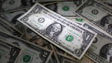 الدولار الأمريكي 1770133215 0