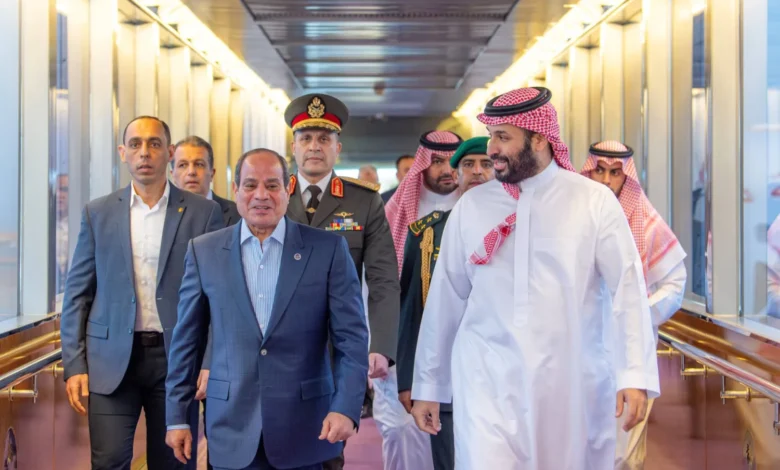 الرئيس السيسى وبن سلمان