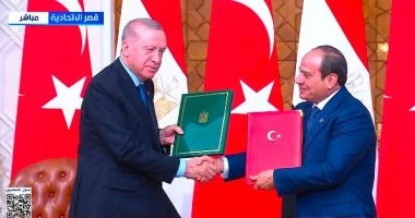 السيسي وأردوغان