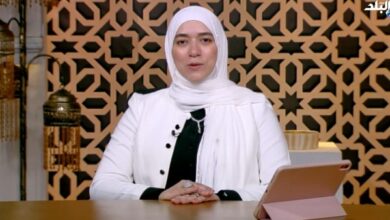 دينا أبو الخير