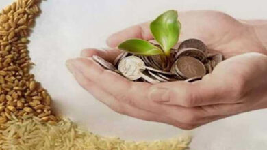 زكاة الفطر3