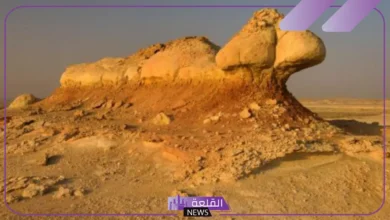 سبب التعرية.webp