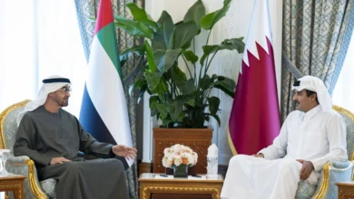 محمد بن زايد وأمير قطر