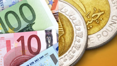 قفزة في سعر اليورو مقابل الجنيه المصري اليوم الخميس 12 مارس.. هل يتأثر بـ ”حرب إيران”؟ | الموجز العربي
