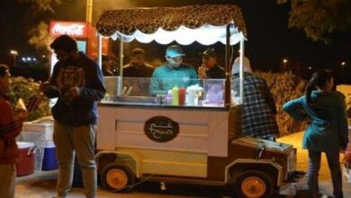 17203680761619560233