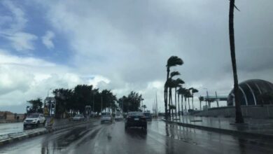 1759456377900202511260359455945