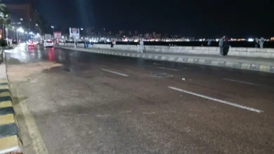 2939372 الأمطار في الإسكندرية اليوم