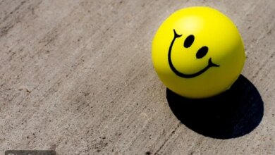 4433e20da643cfbb607e056f2540347dc6d1e34c 150322111702