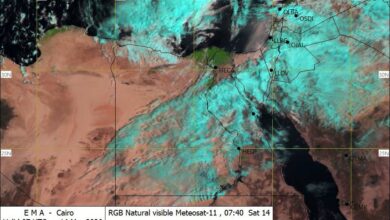 650751031 1358324956326068 8592969727424663682 n