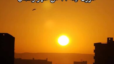 652729589 2158414804973845 2753145568011859950 n e1773725372993