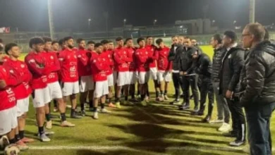 D985D986D8AAD8AED8A8 D8A7D984D8B4D8A8D8A7D8A8 D985D8A7 D8A7D984D8AE