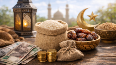 file 000000007c1c724687b8374a520ad21c 1170x780