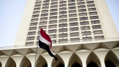 الخارجية المصرية