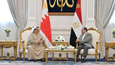 السيسي والملك حمد