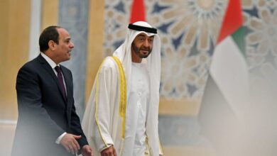 السيسي ومحمد بن زايد