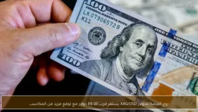 زوج الفضةالدولار XAGUSD يستقر قرب 8900 دولار مع توقع مزيد 1.webp