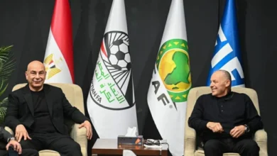 هاني أبو ريدة وحسام حسن