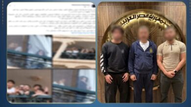 ييبسيبسيبس