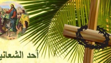 d2a3d90b269845a94bdefc9568b4351a