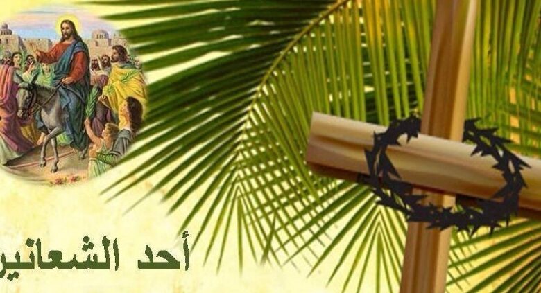 d2a3d90b269845a94bdefc9568b4351a