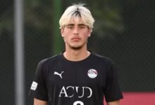 أمير أبو العز