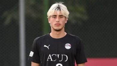 أمير أبو العز