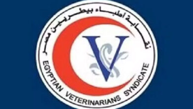 الأطباء البيطريين