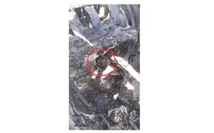 البالبالبلابلاب