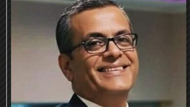 الخبير الاقتصادي هشام صلاح