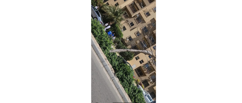 لارلارؤؤلارلارؤ